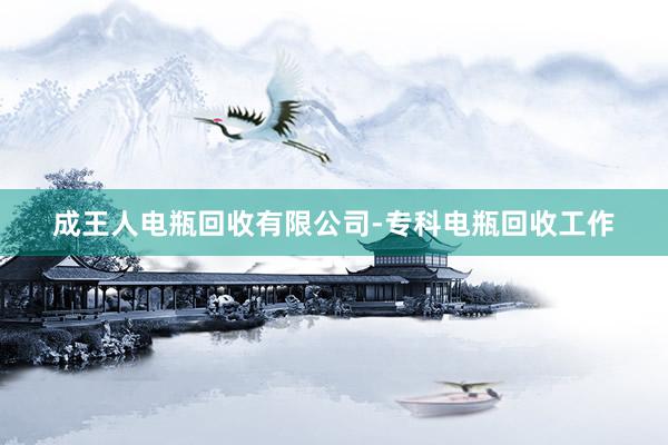 成王人电瓶回收有限公司-专科电瓶回收工作