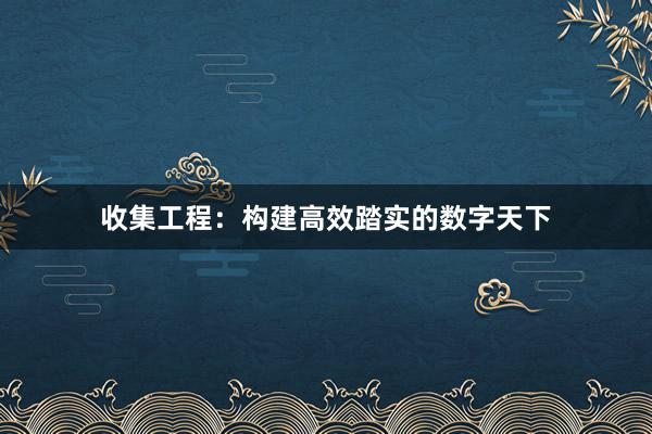 收集工程：构建高效踏实的数字天下