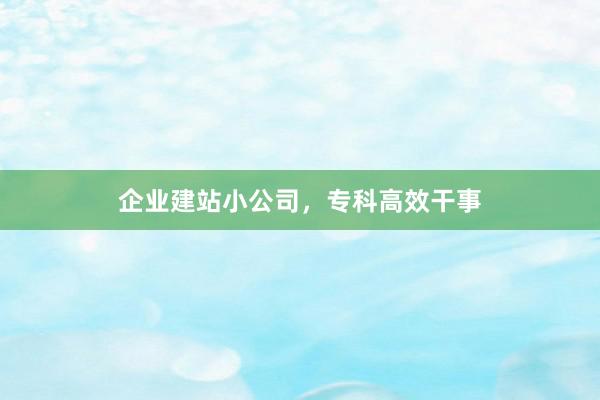 企业建站小公司，专科高效干事